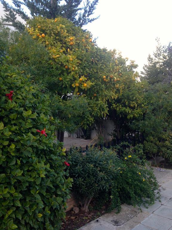 Apartament Paphos Studios
