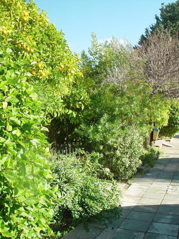 Paphos Studios Apartment *